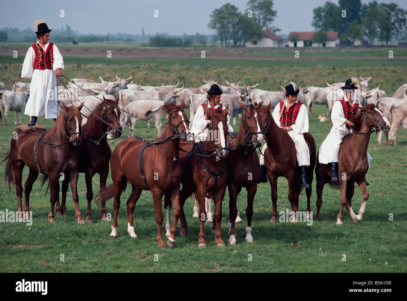 Men in traditional dress riding horses at Bugoc Puszra, Hungary, Europe Stock Photo