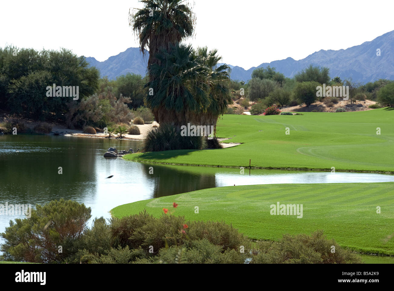 Palm Springs CA Desert Willows Golf course beautiful lovely picturesque Western US United States in Palm Desert CA Desert Willow Stock Photo