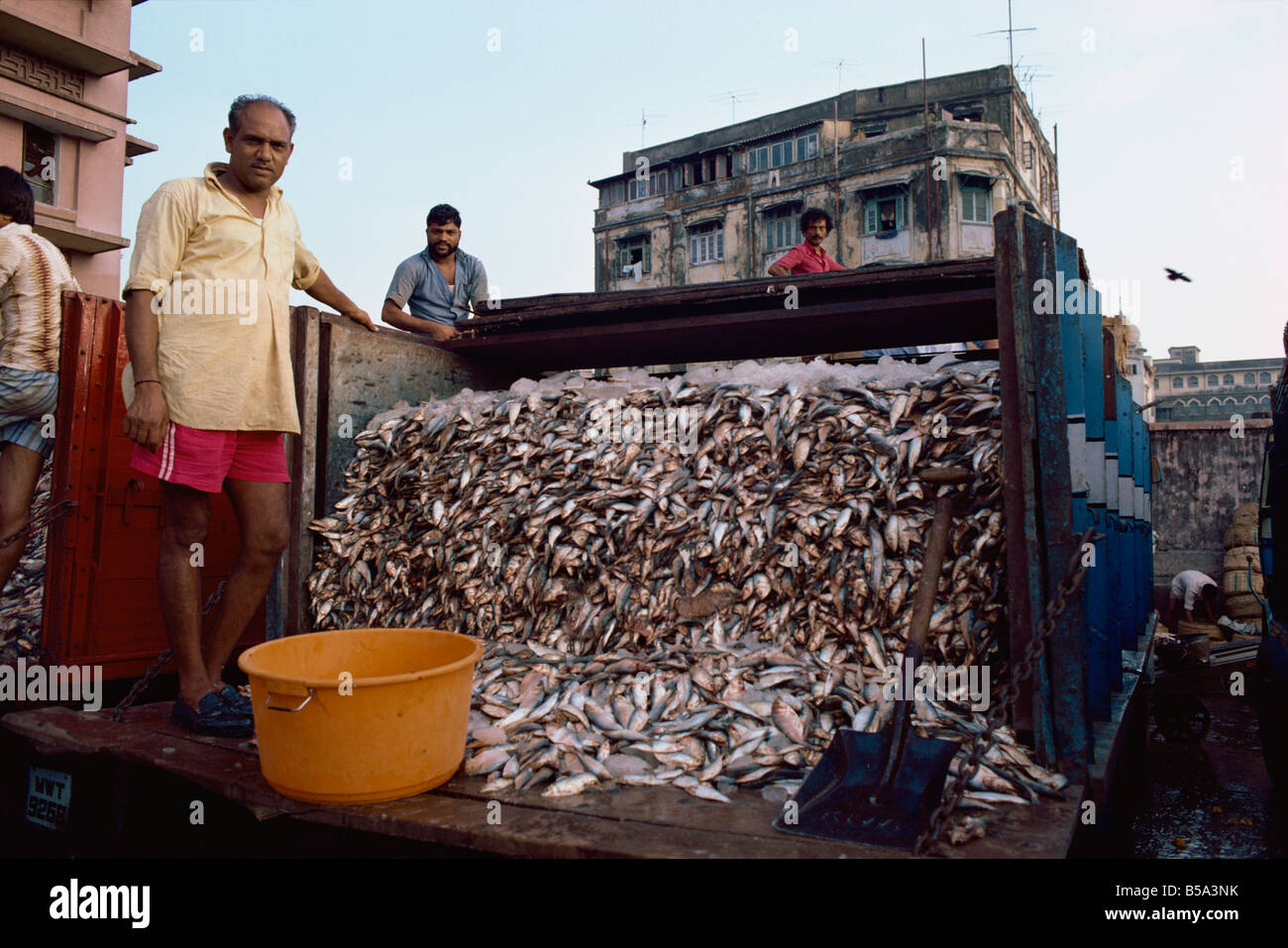 Fish market Mumbai India Asia Stock Photo Alamy