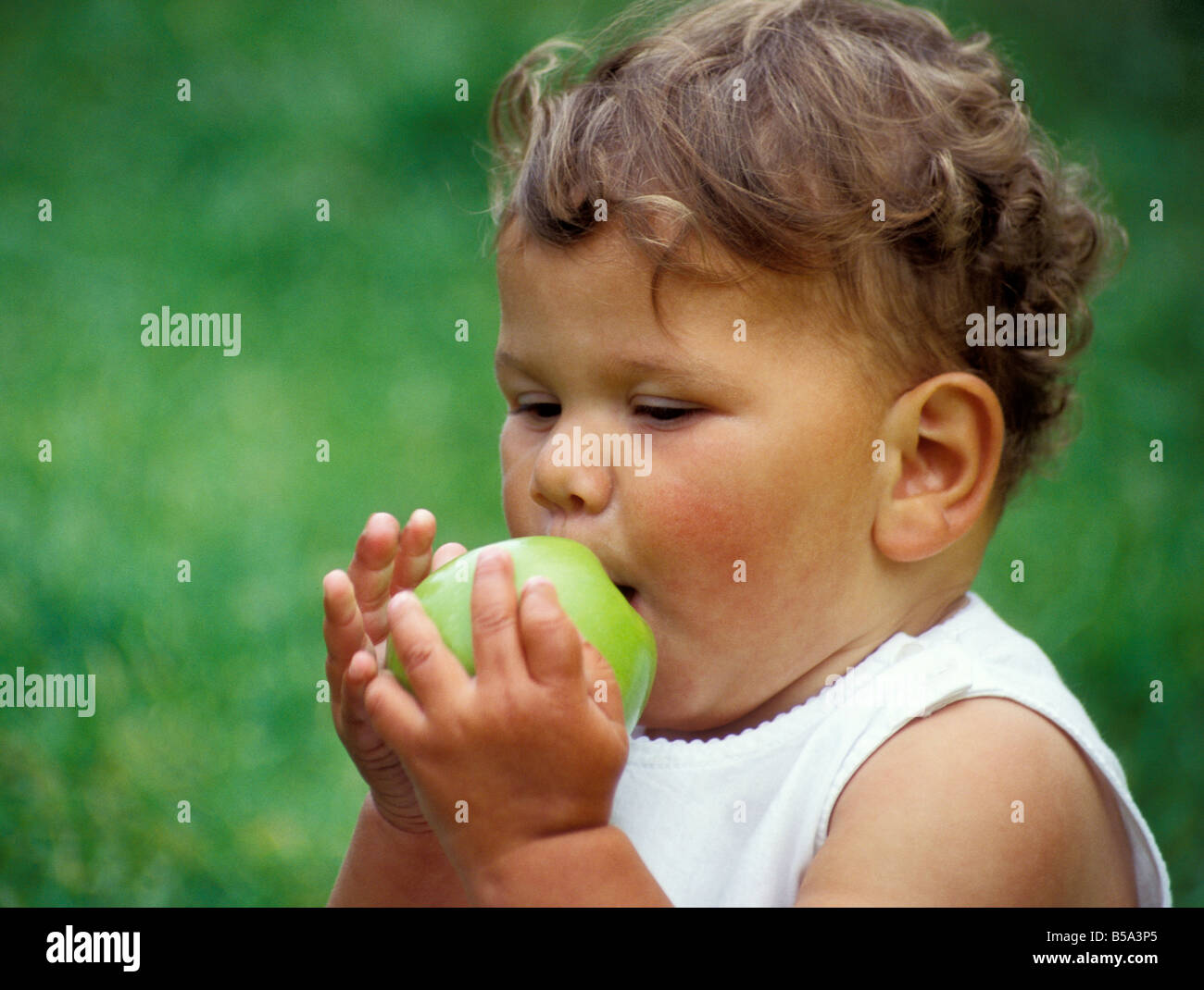 toddler eating whole granny smiths apple Stock Photo