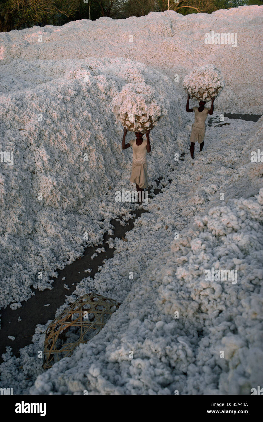 Gujarat agriculture hires stock photography and images Alamy