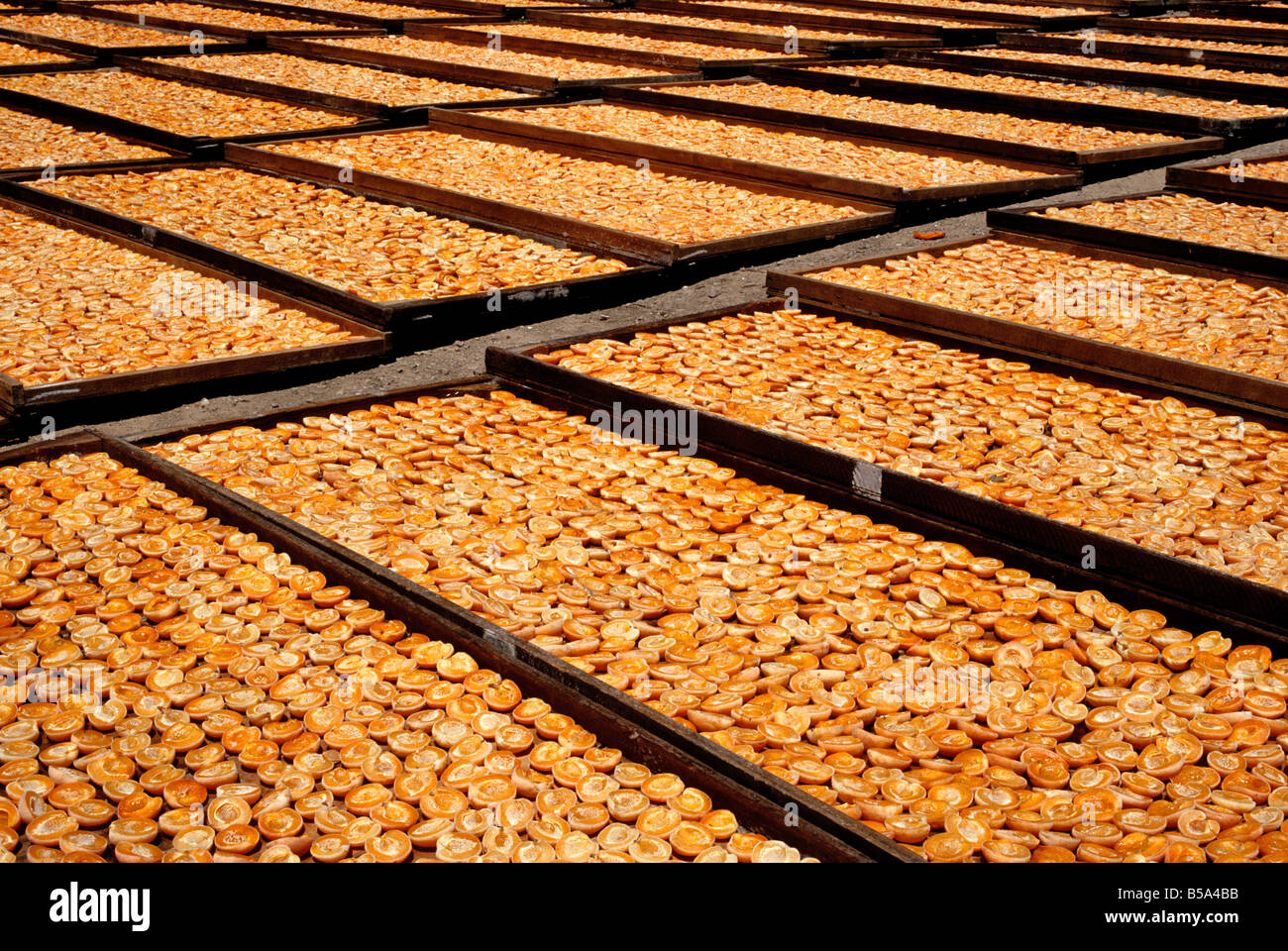 Apricot sulphur hires stock photography and images Alamy