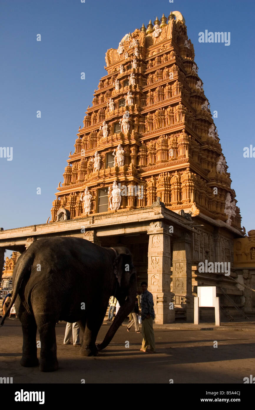 An elephant outside of the Nanjundeswara Temple in Nanjangud, India. Nanjangud is just a short distance from Mysore. Stock Photo