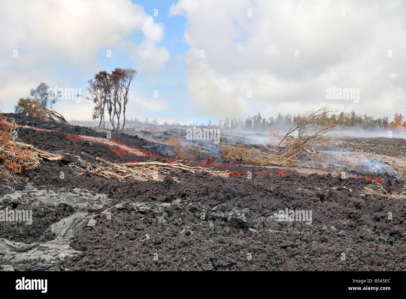 A'a lava flow in the abandoned Royal Gardens subdivision Stock Photo