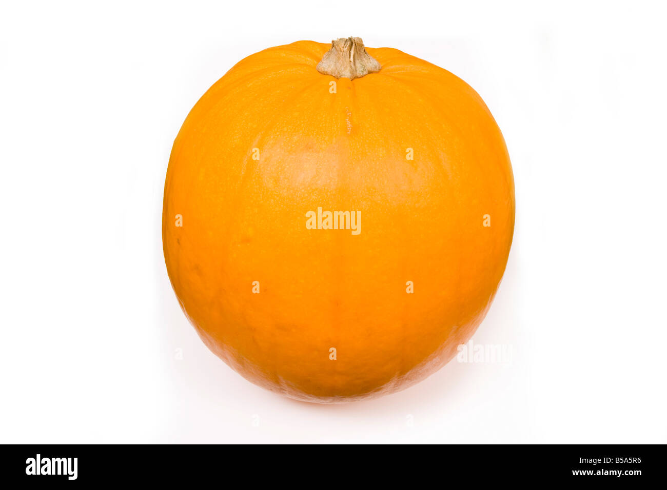 Whole pumpkin isolated on a white studio background Stock Photo - Alamy