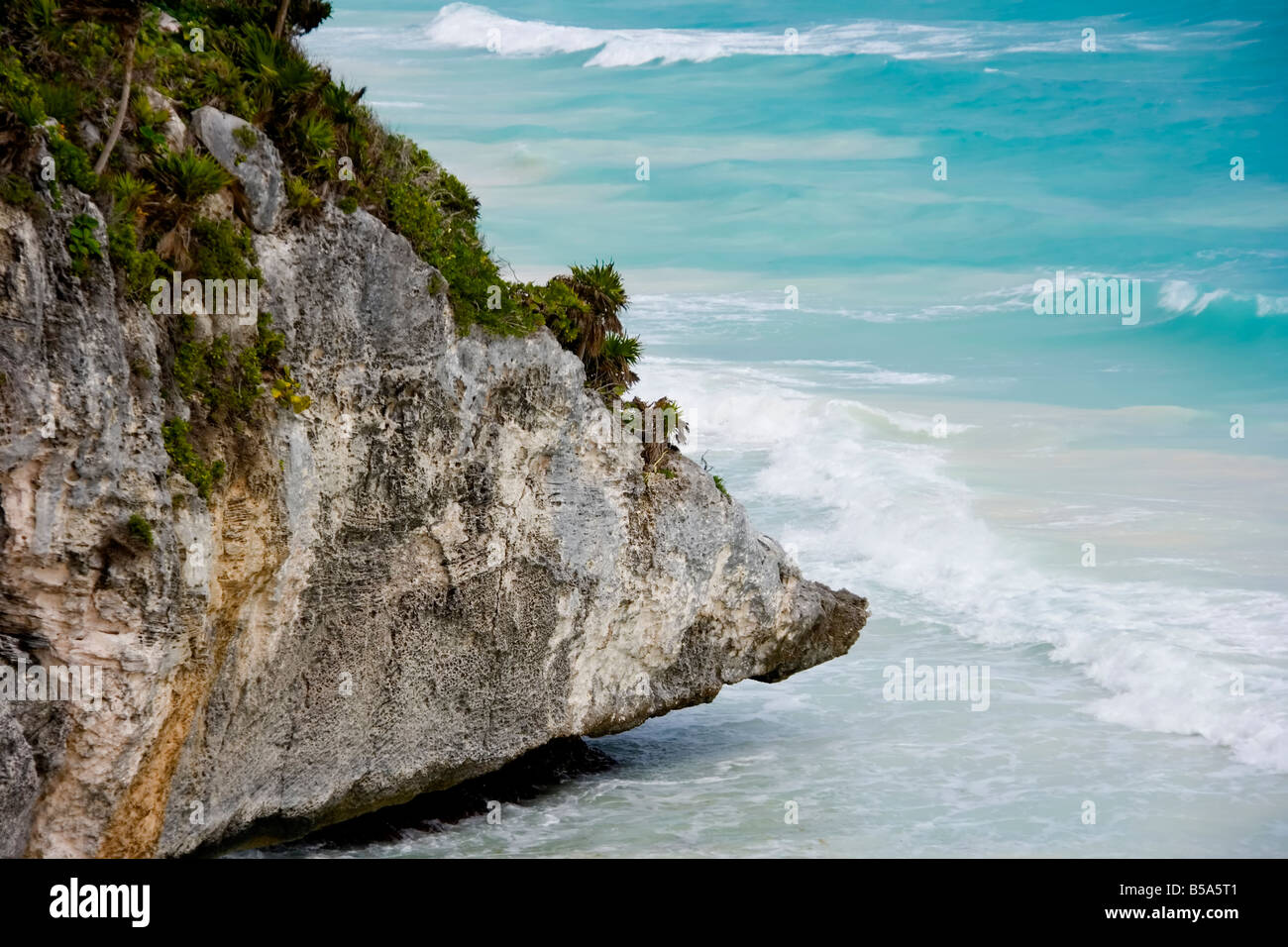 Palm tree overhang hi-res stock photography and images - Alamy