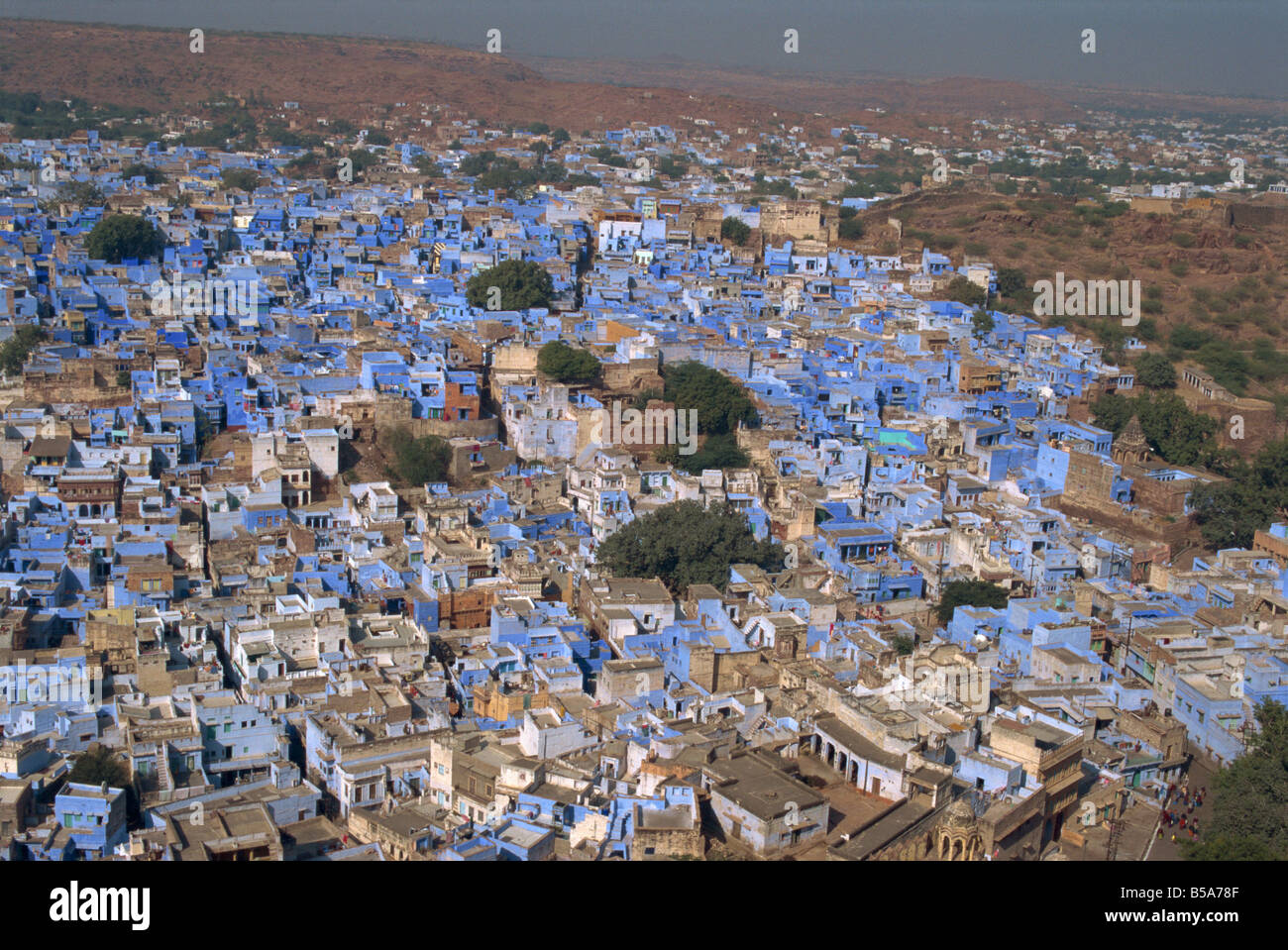 View from fort of blue houses of Brahmin caste residents of city Jodhpur Rajasthan state India Asia Stock Photo