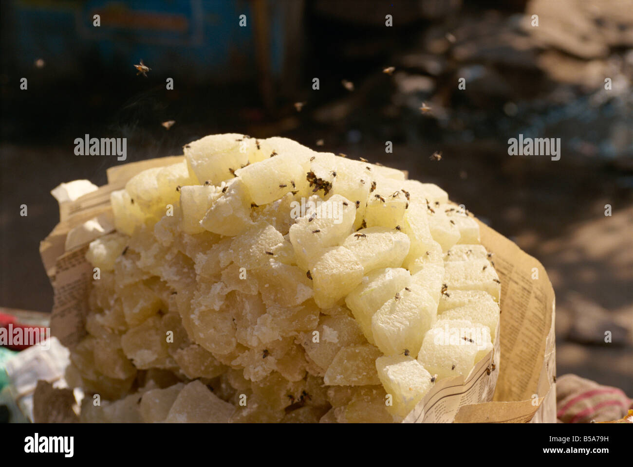 Insects in india hi-res stock photography and images - Alamy