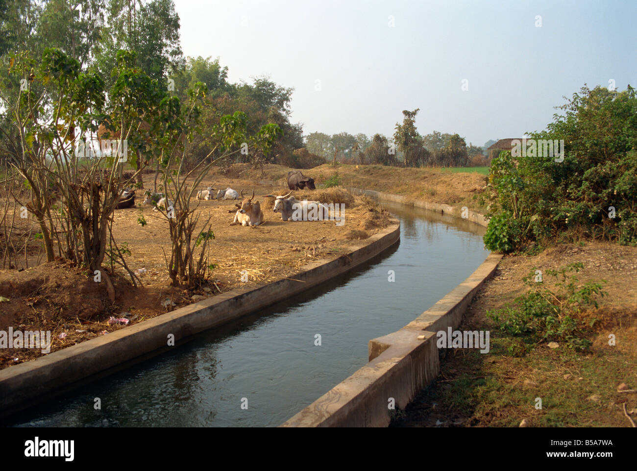 Irrigation canal Dhariyawad Rajasthan state India Asia Stock Photo Alamy