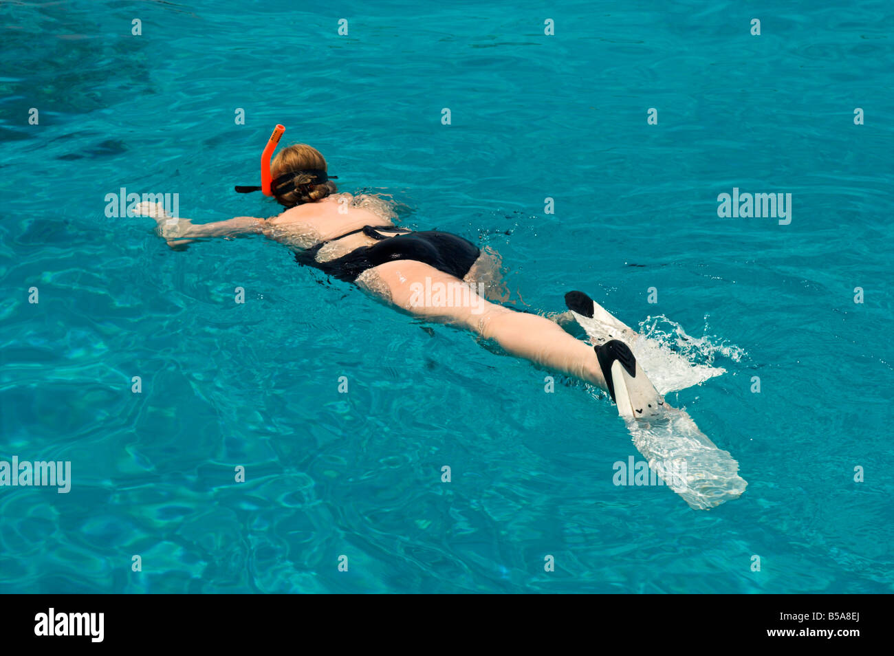 Woman swimming, snorkeling in sea Bahamas Stock Photo