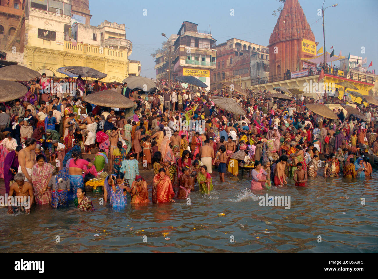 Morning religious rituals in the Ganges river Makar San Kranti Varanasi Benares Uttar Pradesh