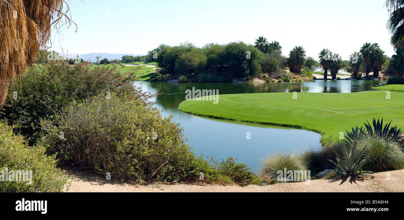 Palm Springs CA Desert Willows Golf course beautiful lovely picturesque Western US United States in Palm Desert CA Desert Willow Stock Photo