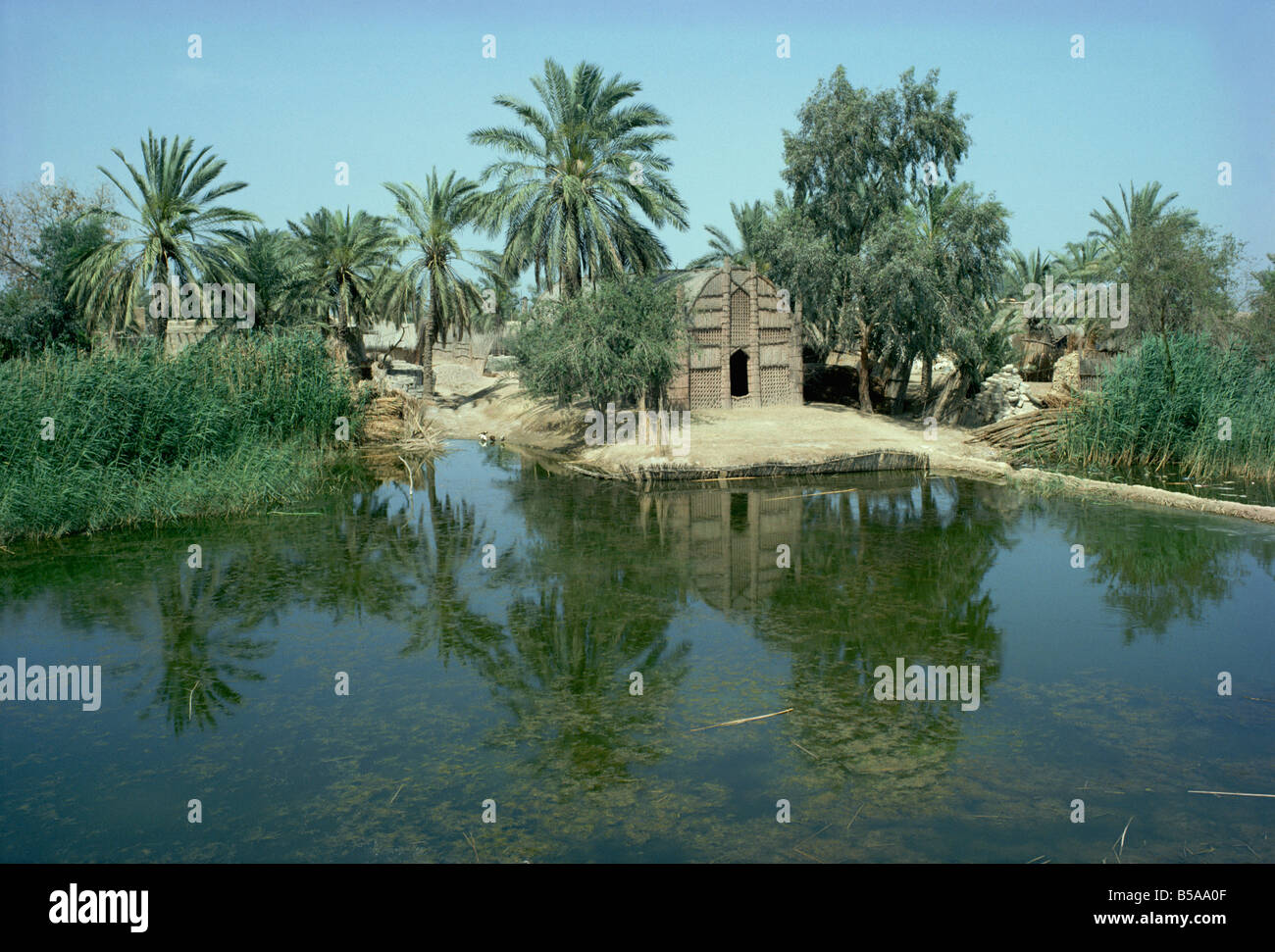 Marsh arabs hires stock photography and images Alamy