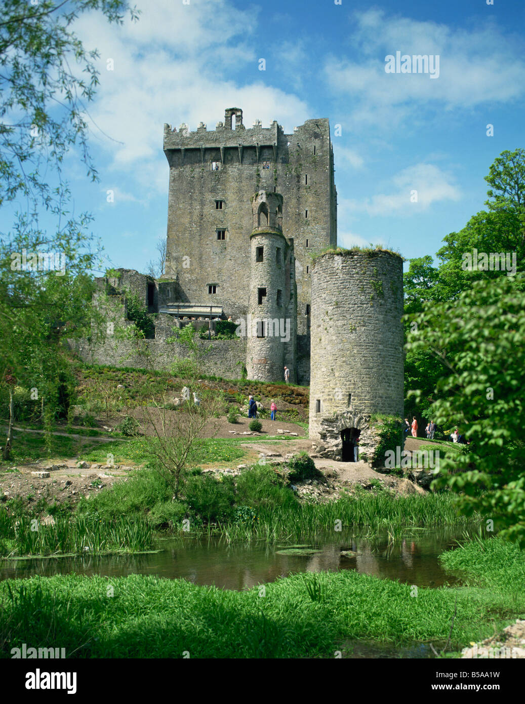 Blarney Castle County Cork Munster Republic of Ireland Europe Stock