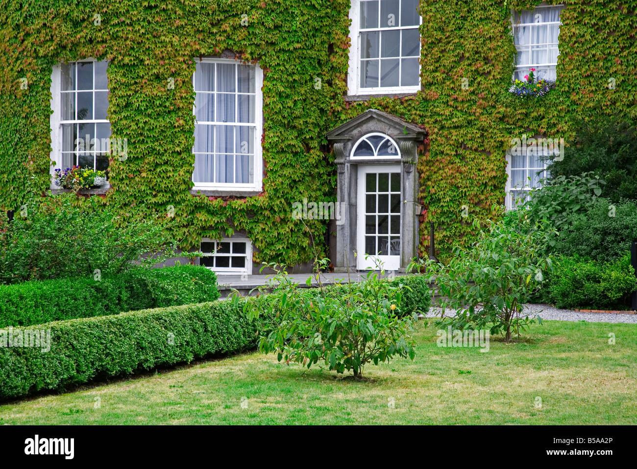 Ivy covered Butler House, Kilkenny City, County Kilkenny, Leinster, Republic of Ireland, Europe Stock Photo