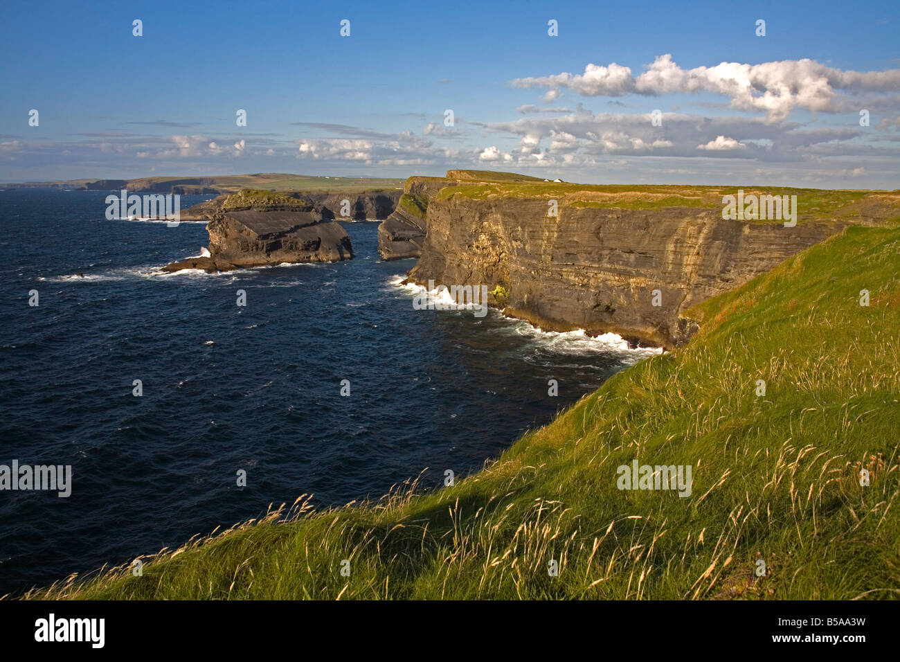 Cliffs near Kilkee, Loop Head, County Clare, Munster, Republic of Ireland, Europe Stock Photo