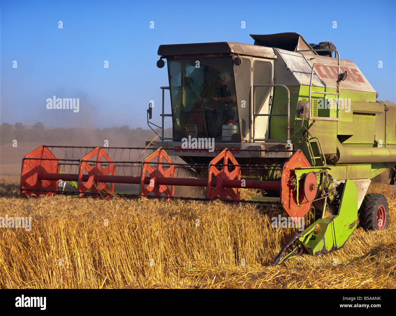 Barley israel hires stock photography and images Alamy