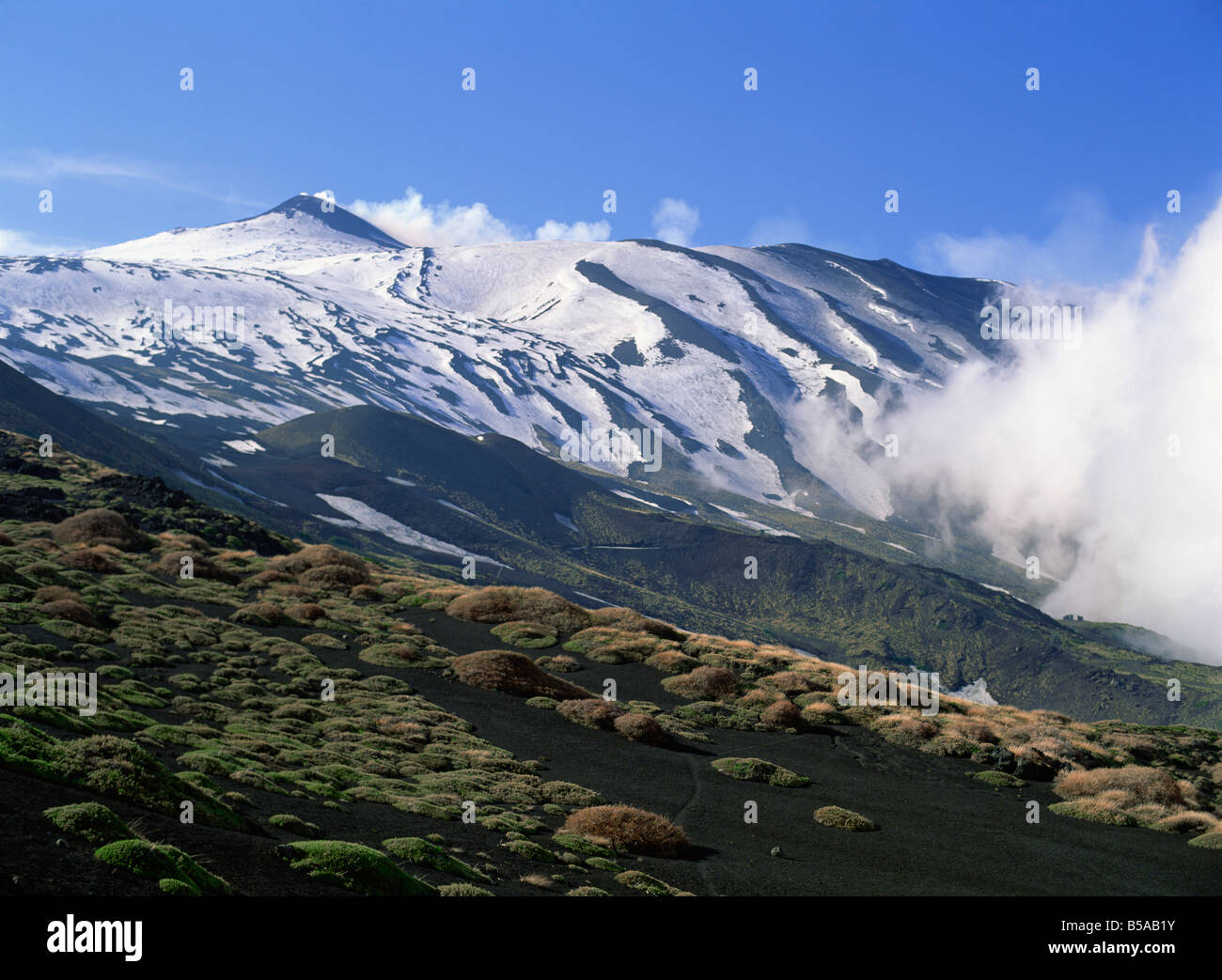 Clumps of thorn amid lava fields on northern slopes of Mount Etna Sicily Italy Europe Stock Photo