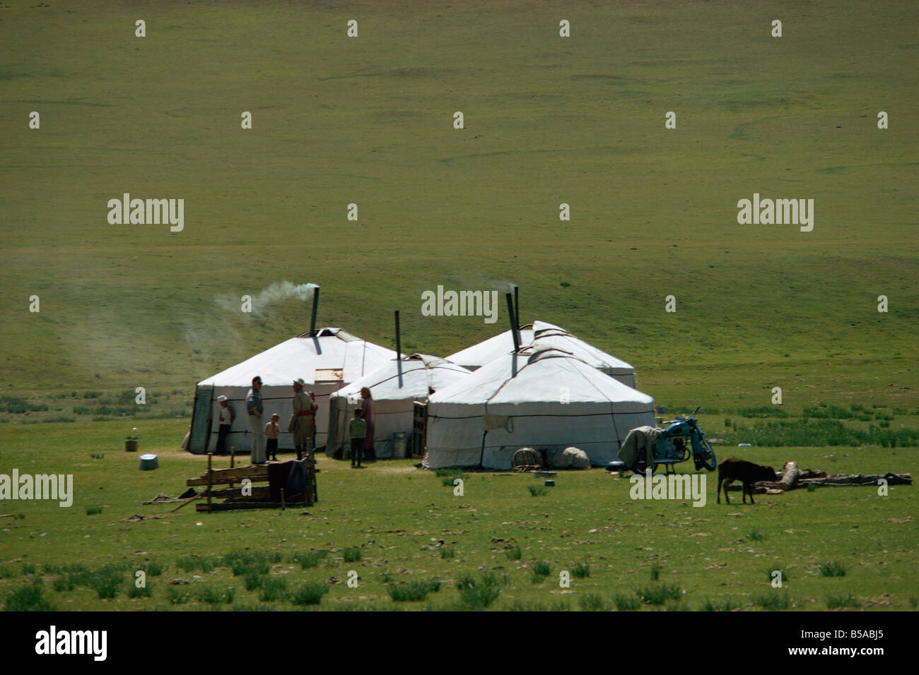Yurts in a Ger camp near Hangay in Mongolia, Central Asia Stock Photo