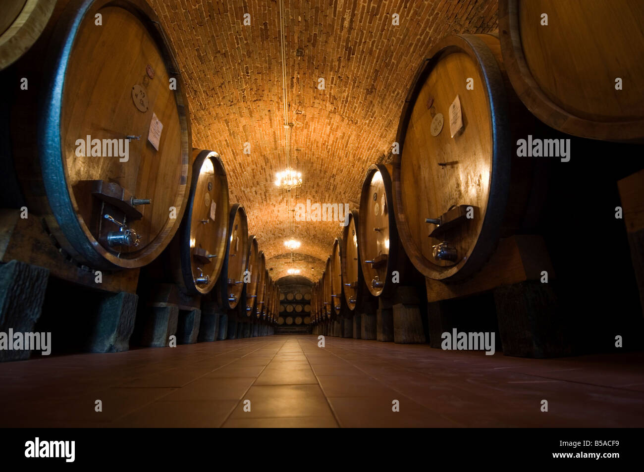 Wine Cellars High Resolution Stock Photography and Images - Alamy