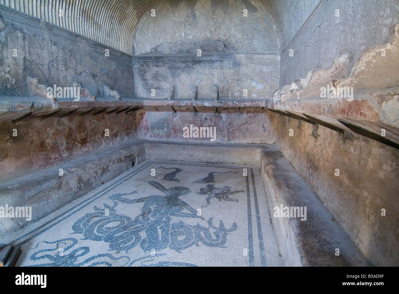 Bath house mosaic from Herculaneum, a large Roman town destroyed by a volcanic eruption from Mount Vesuvius, Campania, Italy Stock Photo