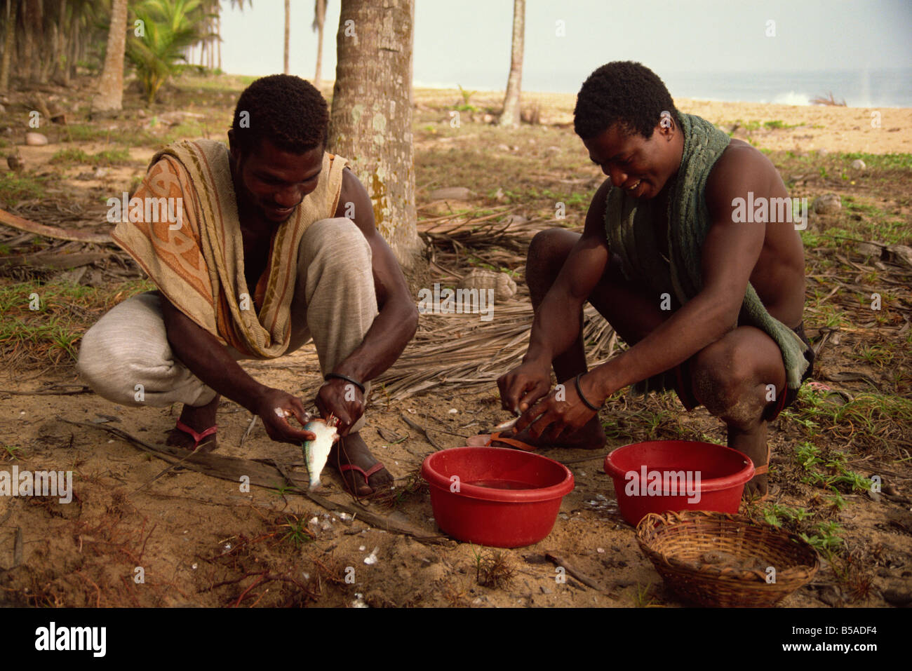 Men gutting fish near Abidjan Ivory Coast West Africa Africa Stock Photo