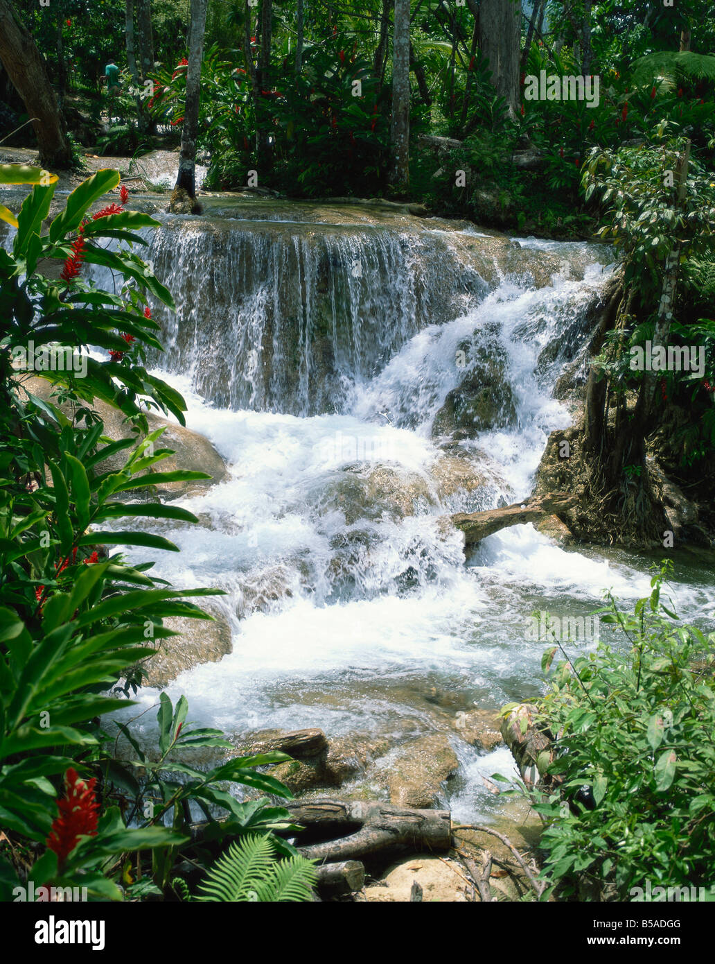 Dunns River Falls Ocho Rios Jamaica West Indies Caribbean Central America Stock Photo