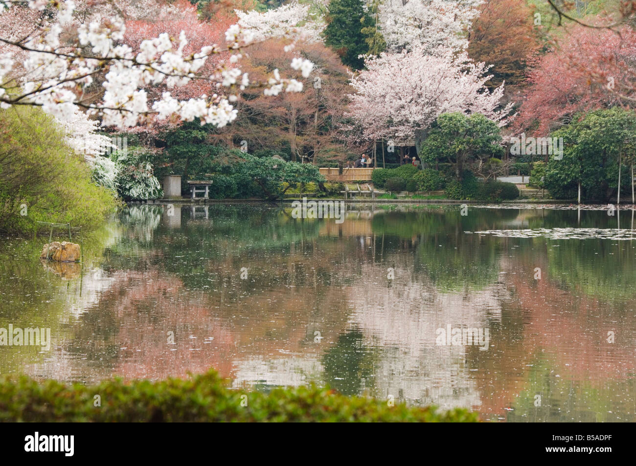 Garden of Ryoanji Temple Kyoto Honshu Island Japan Asia Stock Photo