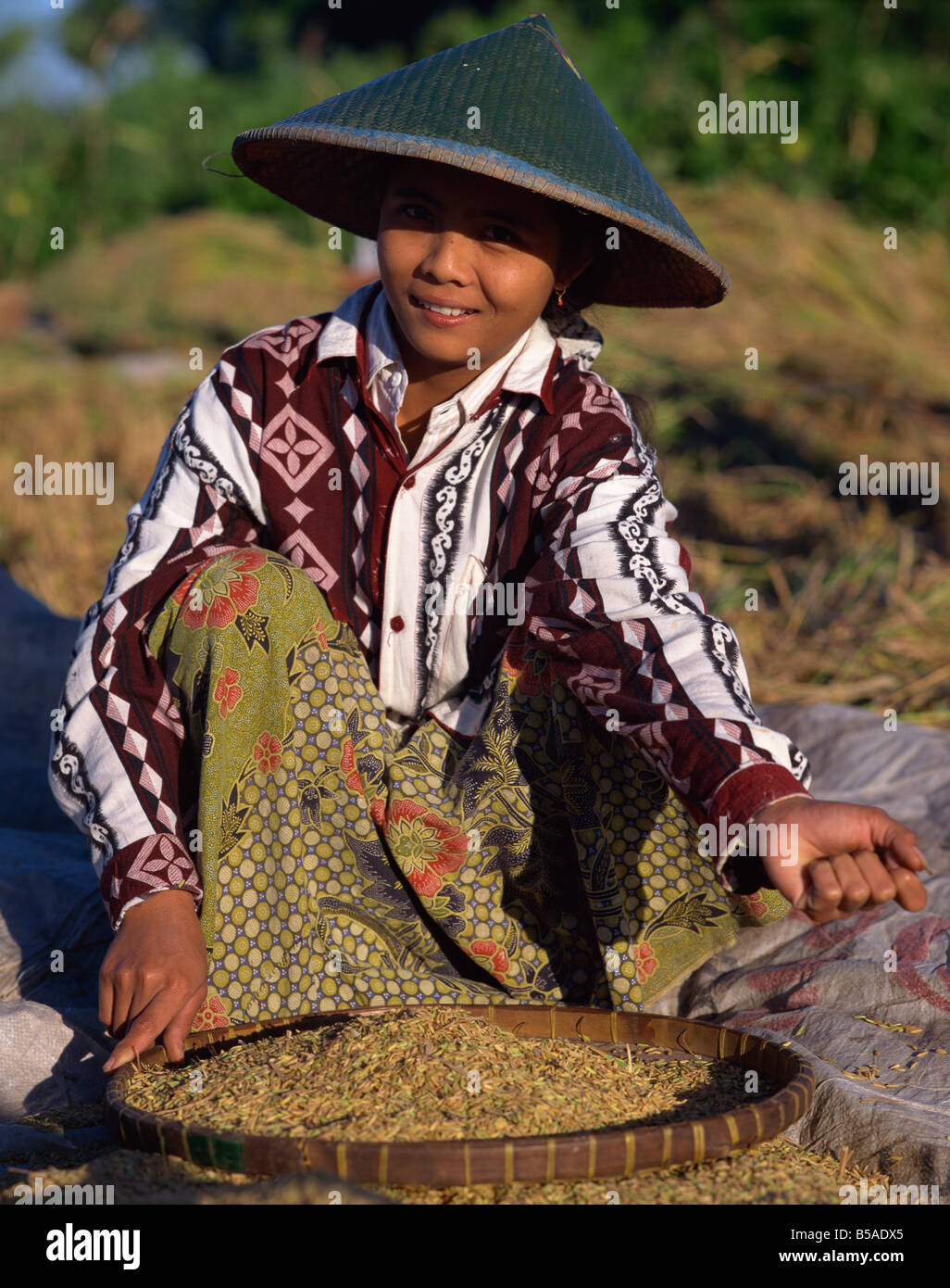 Harvesting processing, Lombok, Indonesia, Southeast Asia Stock Photo