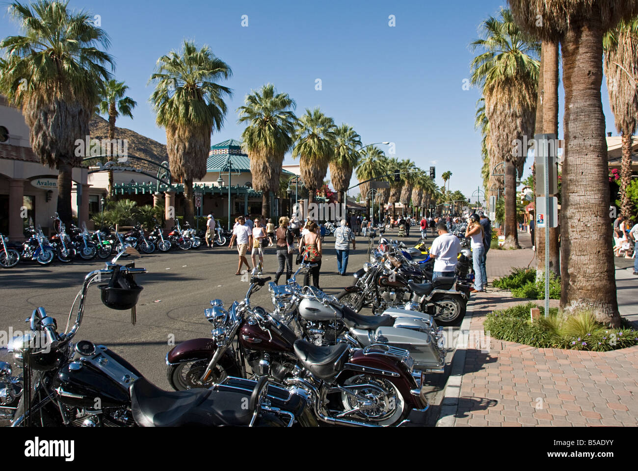 Palm Springs CA Harley Davidson HOG attitude American motorcycle Buell Motorcycle Company cruising highway. 'Harley' distinctive Stock Photo