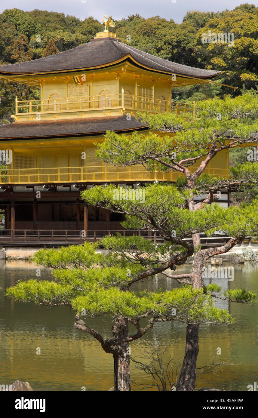 Golden pavilion with lake and tree in foreground, Rokuon ji temple, Kinkaku ji, Kyoto, Kansai, Honshu, Japan Stock Photo