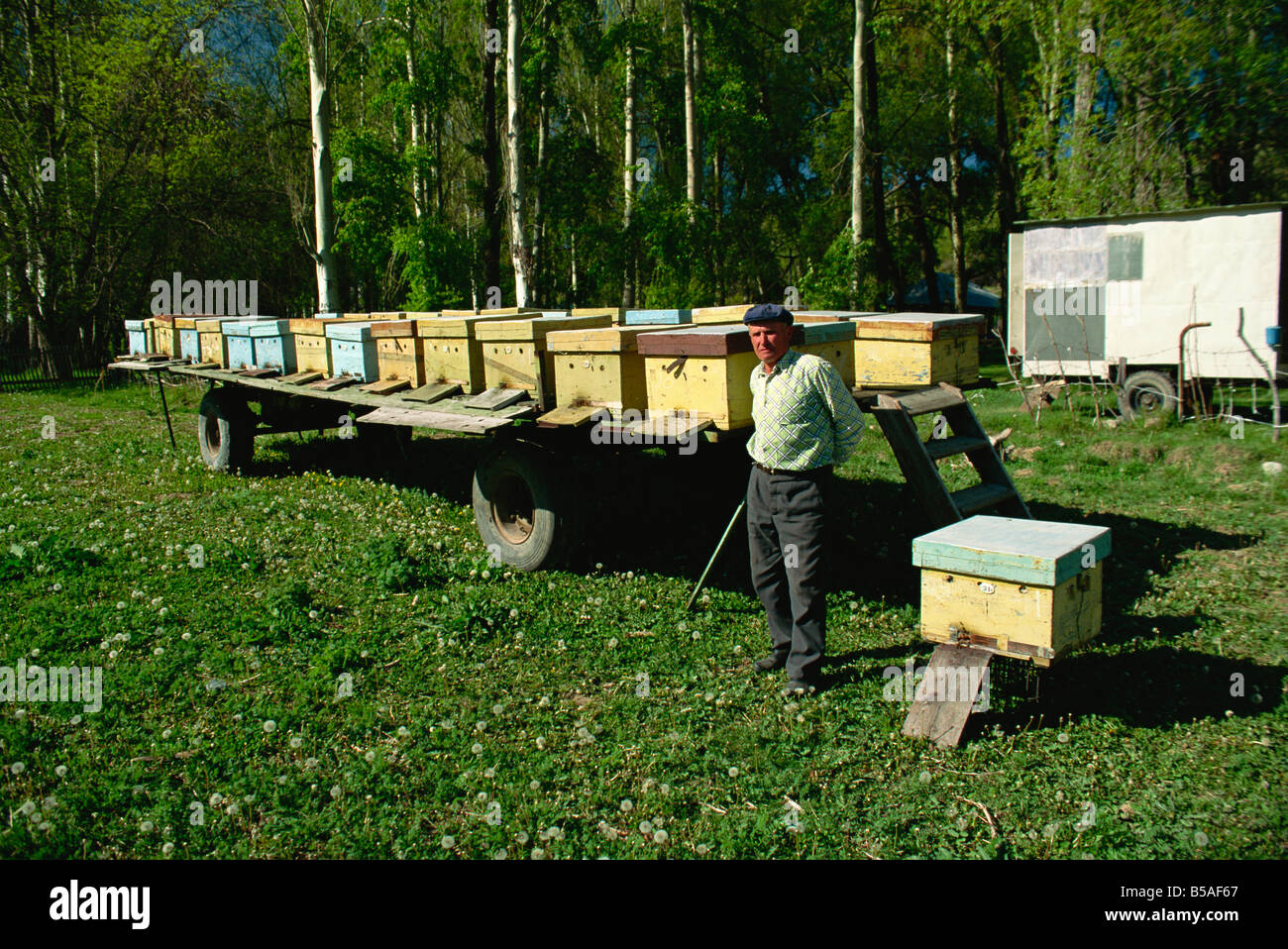 Beekeeping in the Kara Kol Valley Kirghizstan Central Asia Asia Stock Photo