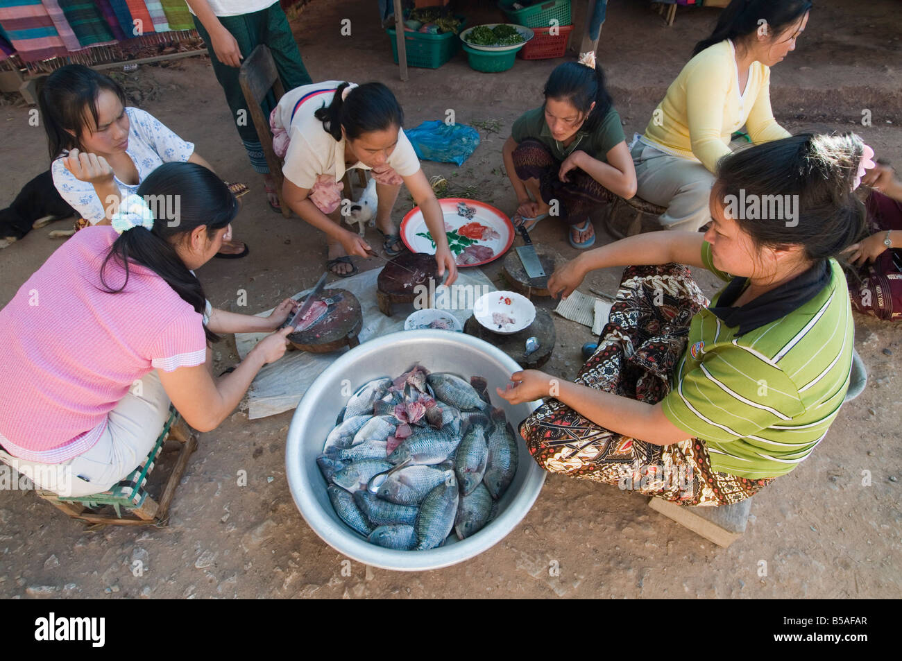 Women preparing fish caught in the Mekong River, in village near Luang Prabang, Laos, Indochina, Southeast Asia Stock Photo