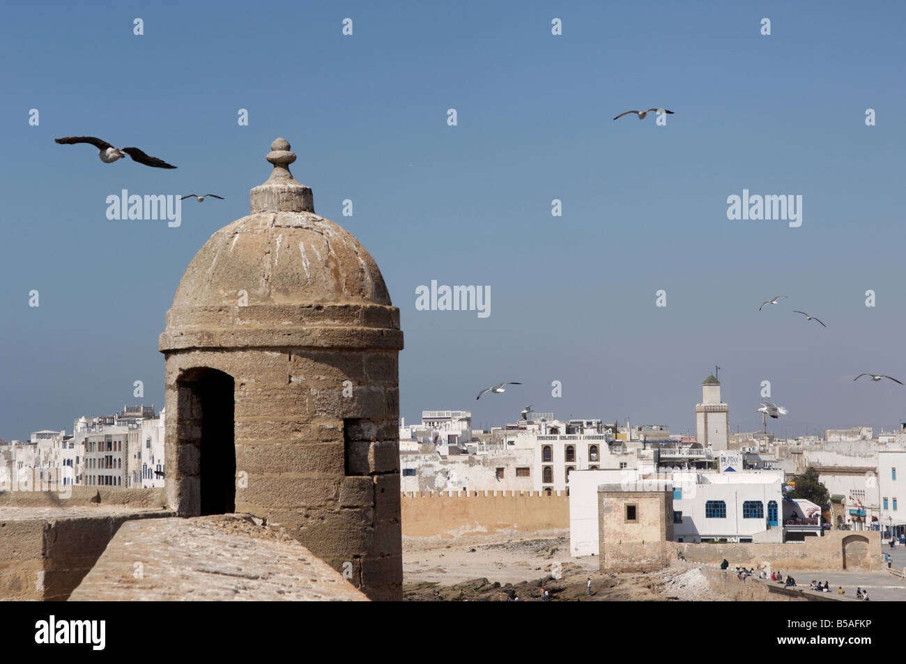 Old waterfront city behind ramparts, Essaouira, historic city of Mogador, Morocco, North Africa, Africa Stock Photo