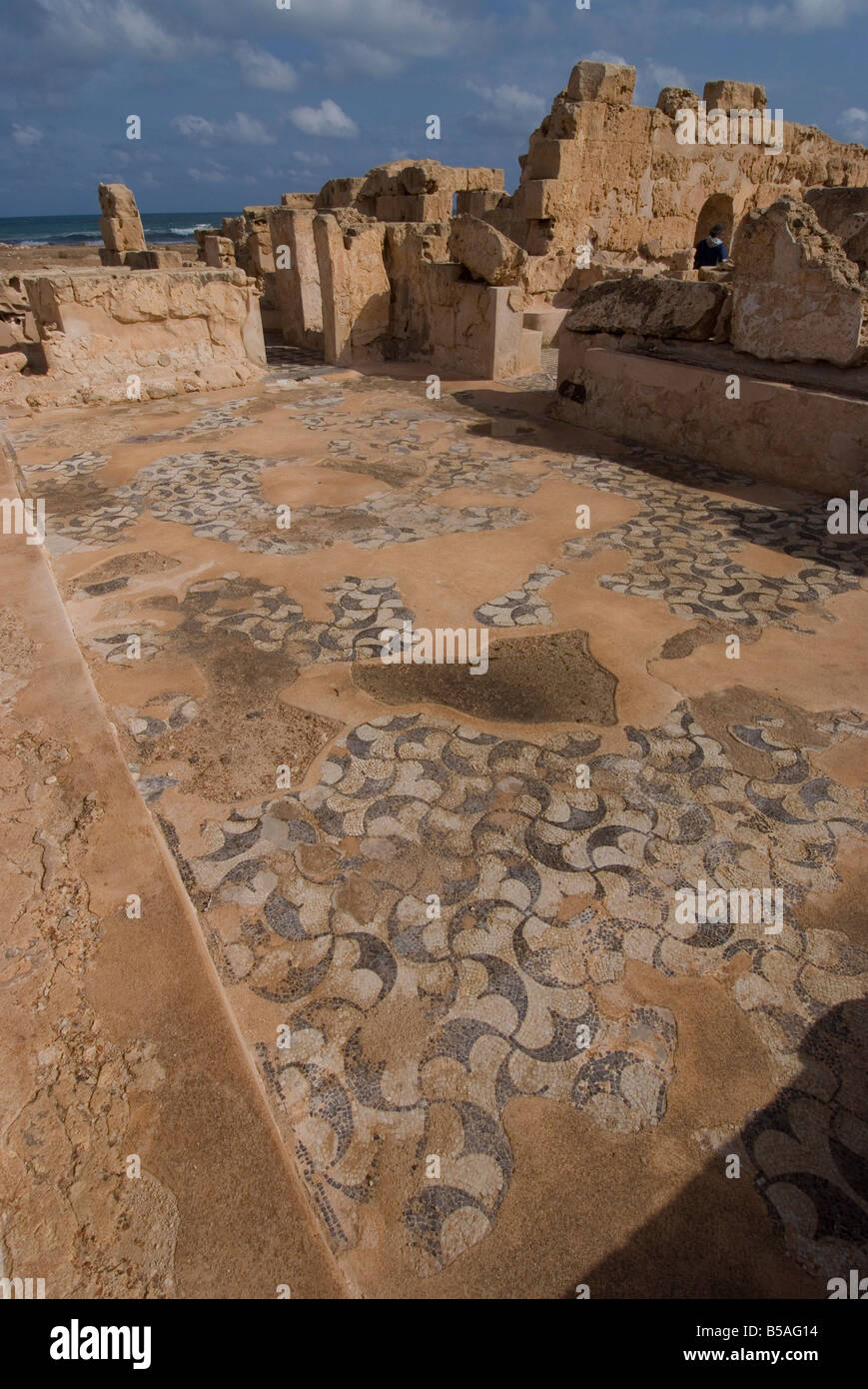 Mosaics at Theatre Baths, Roman site of Sabratha, UNESCO World Heritage Site, Libya, North Africa, Africa Stock Photo