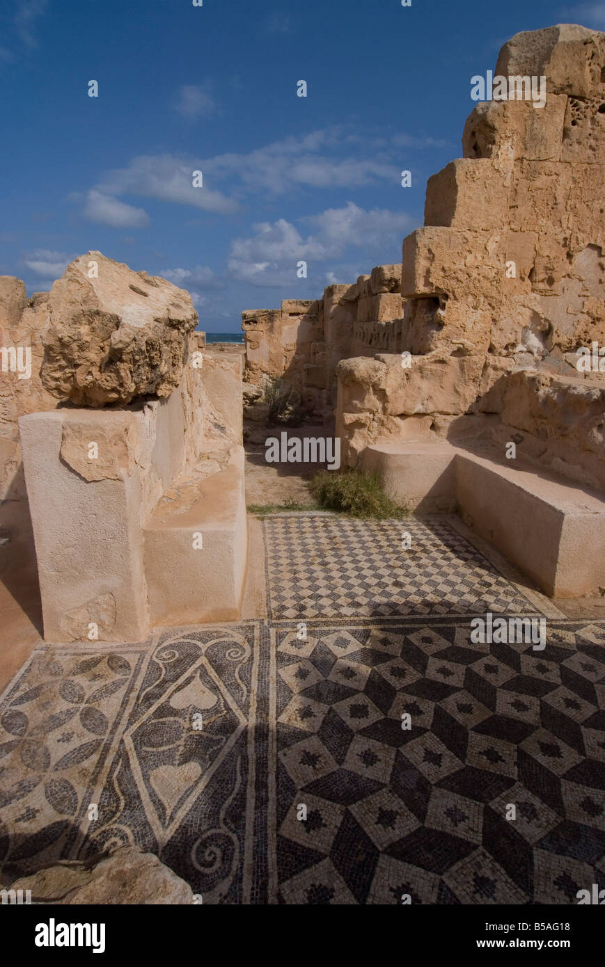 Mosaics at Theatre Baths, Roman site of Sabratha, UNESCO World Heritage Site, Libya, North Africa, Africa Stock Photo