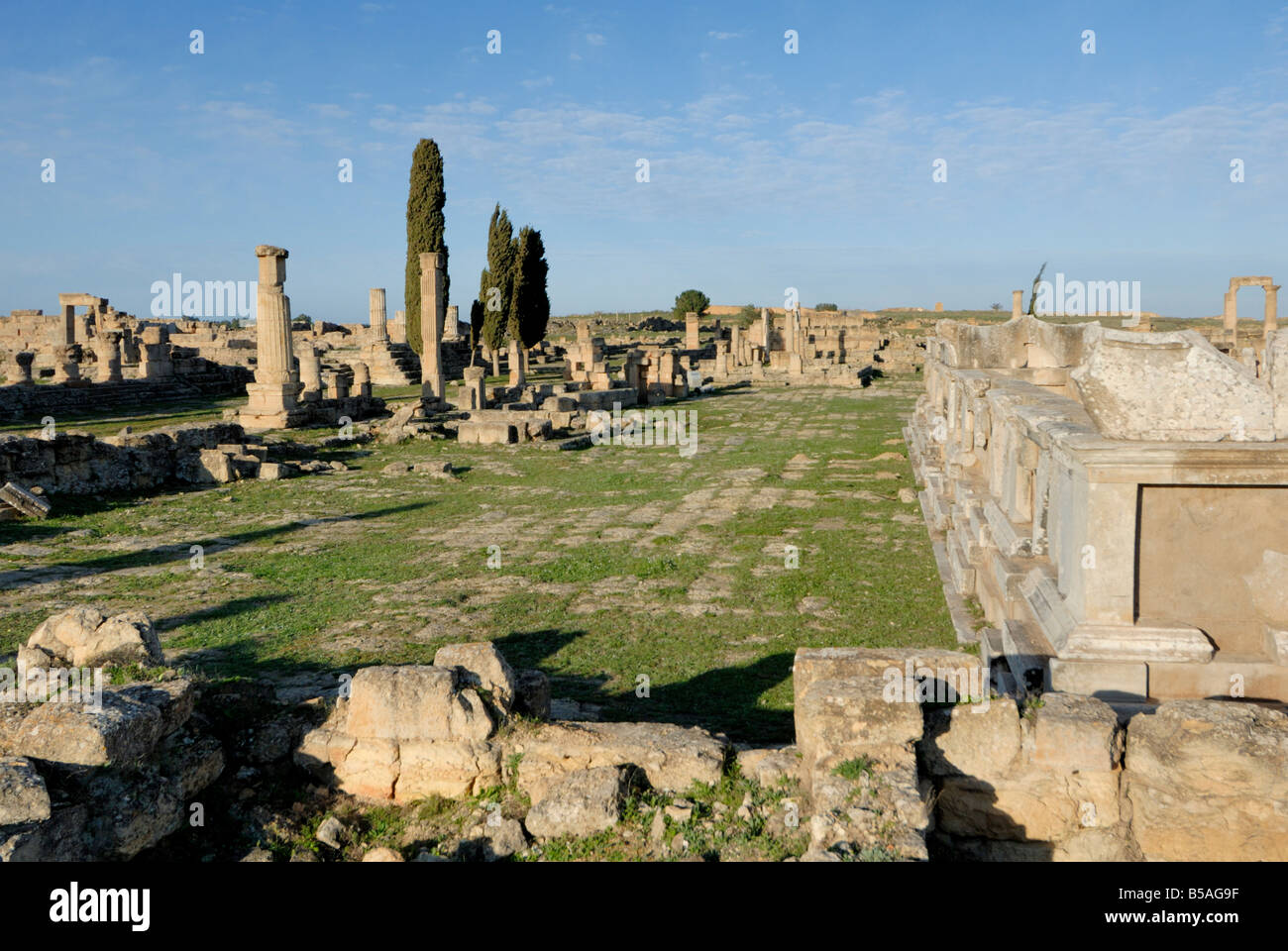 Agora, Cyrene, UNESCO World Heritage Site, Libya, North Africa, Africa Stock Photo