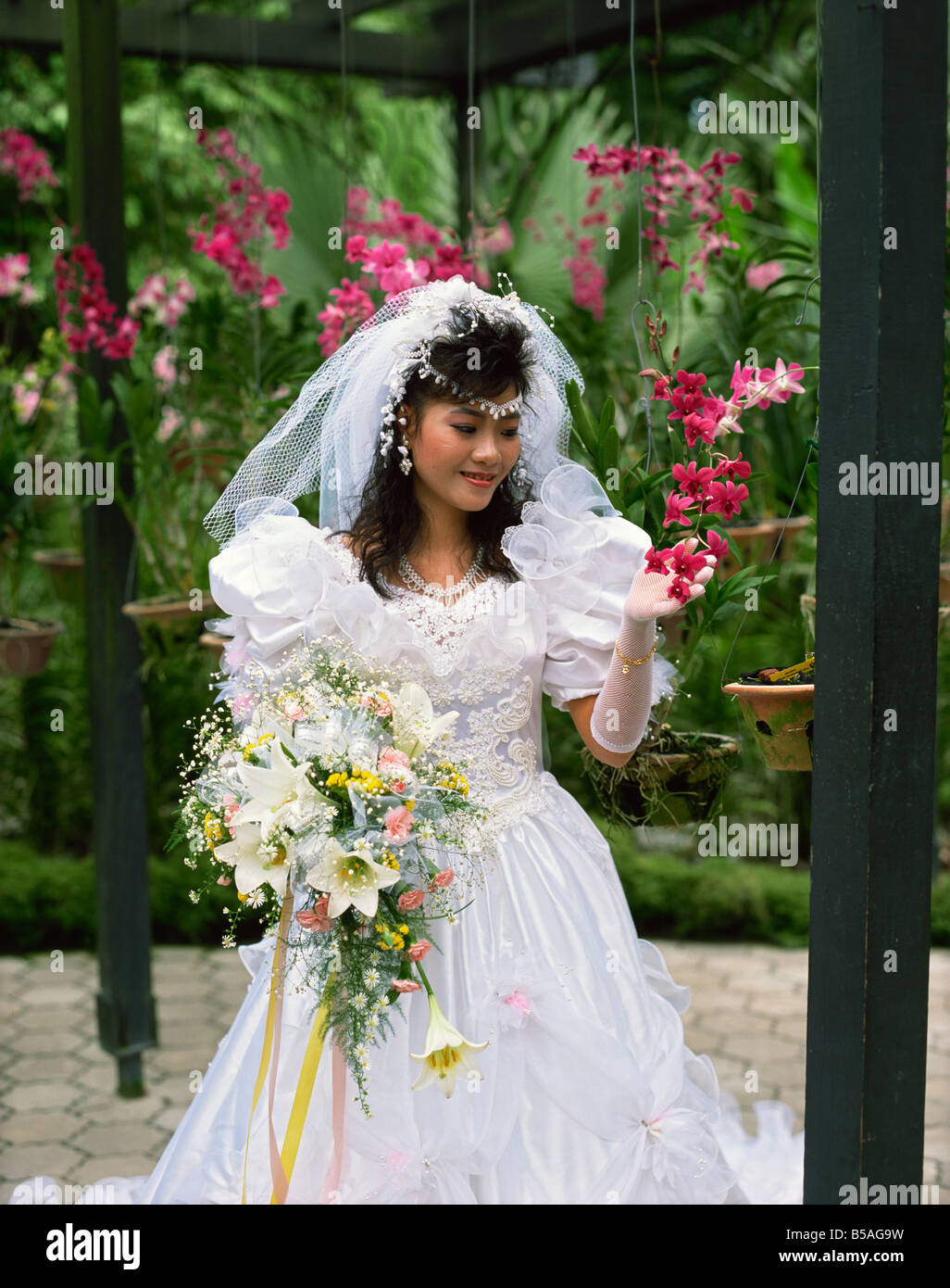 Bride looking at orchids Asia Stock Photo