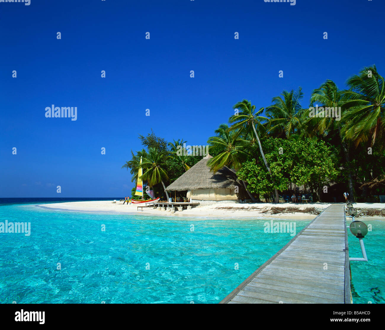 A tropical beach with palm trees in the Maldive Islands, Indian Ocean ...