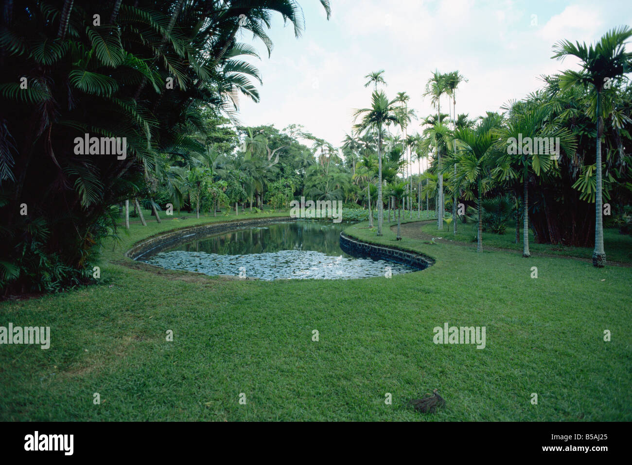 Pamplemousse Gardens Mauritius Africa Stock Photo