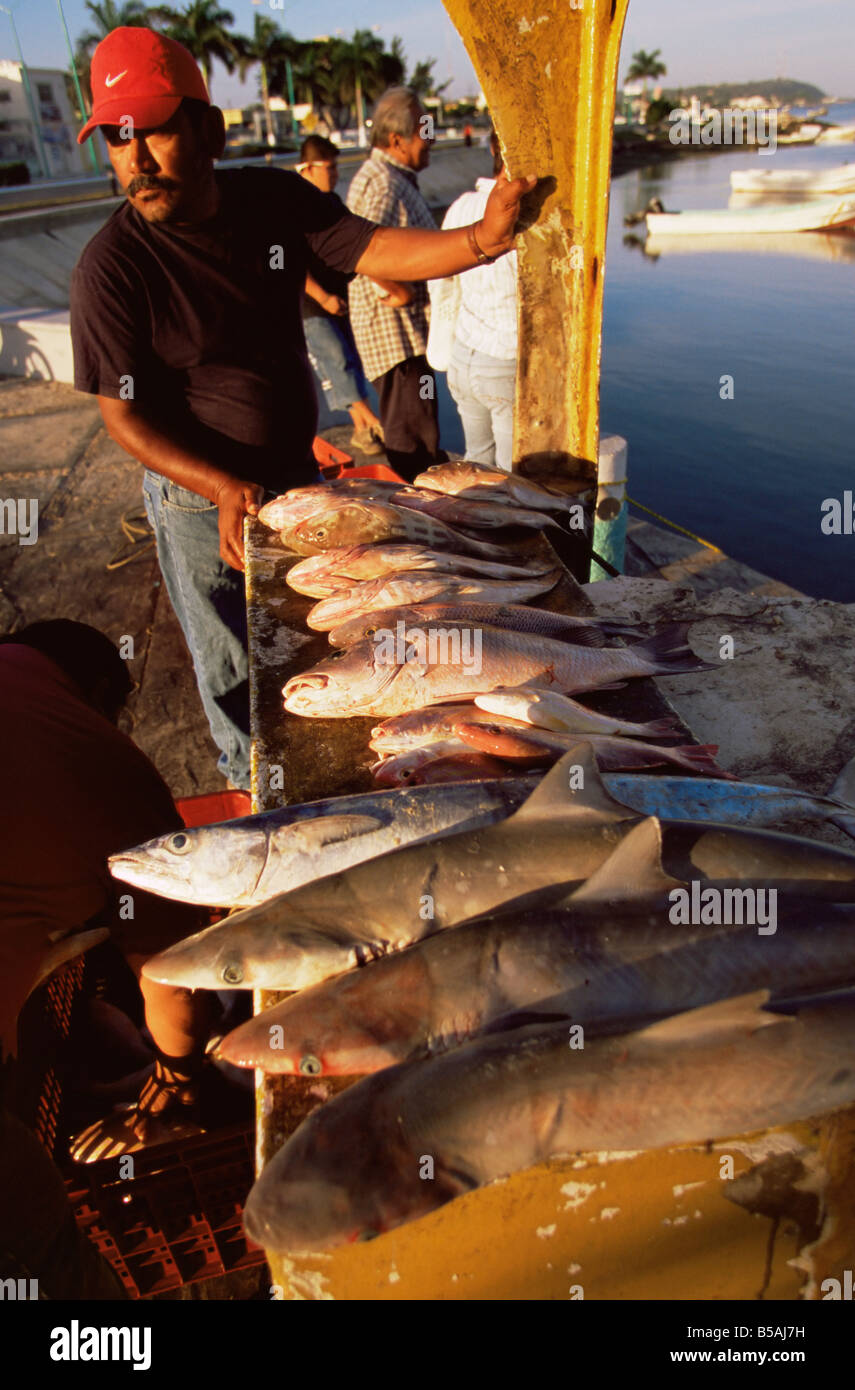 Fish market, Campeche, Mexico, North America Stock Photo