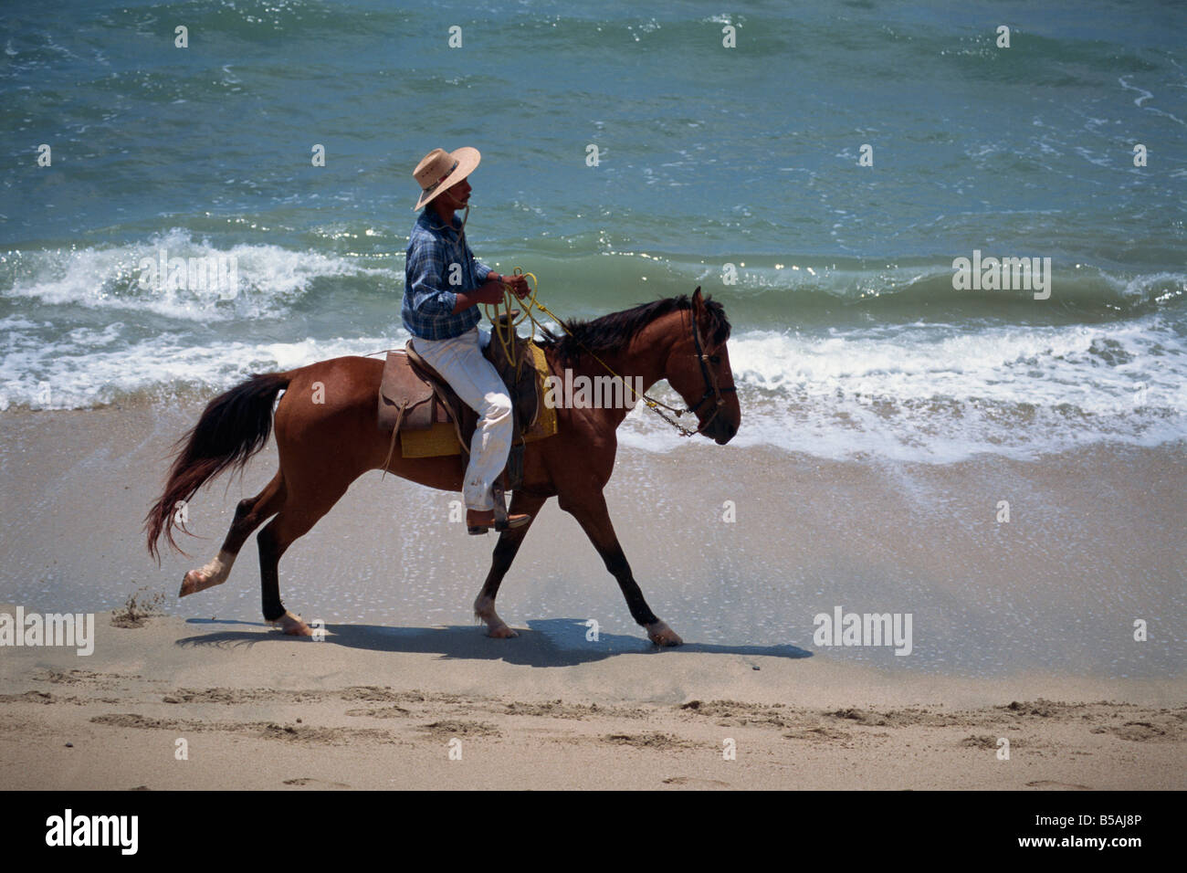 Man on a horse hi-res stock photography and images - Alamy