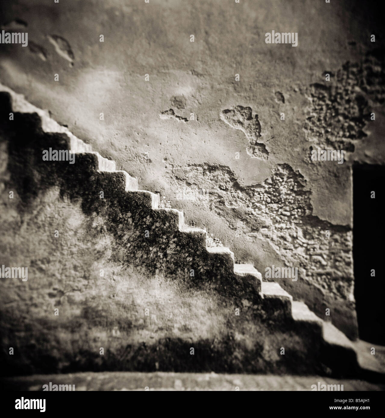 Image taken with a Holga medium format 120 film toy camera of a