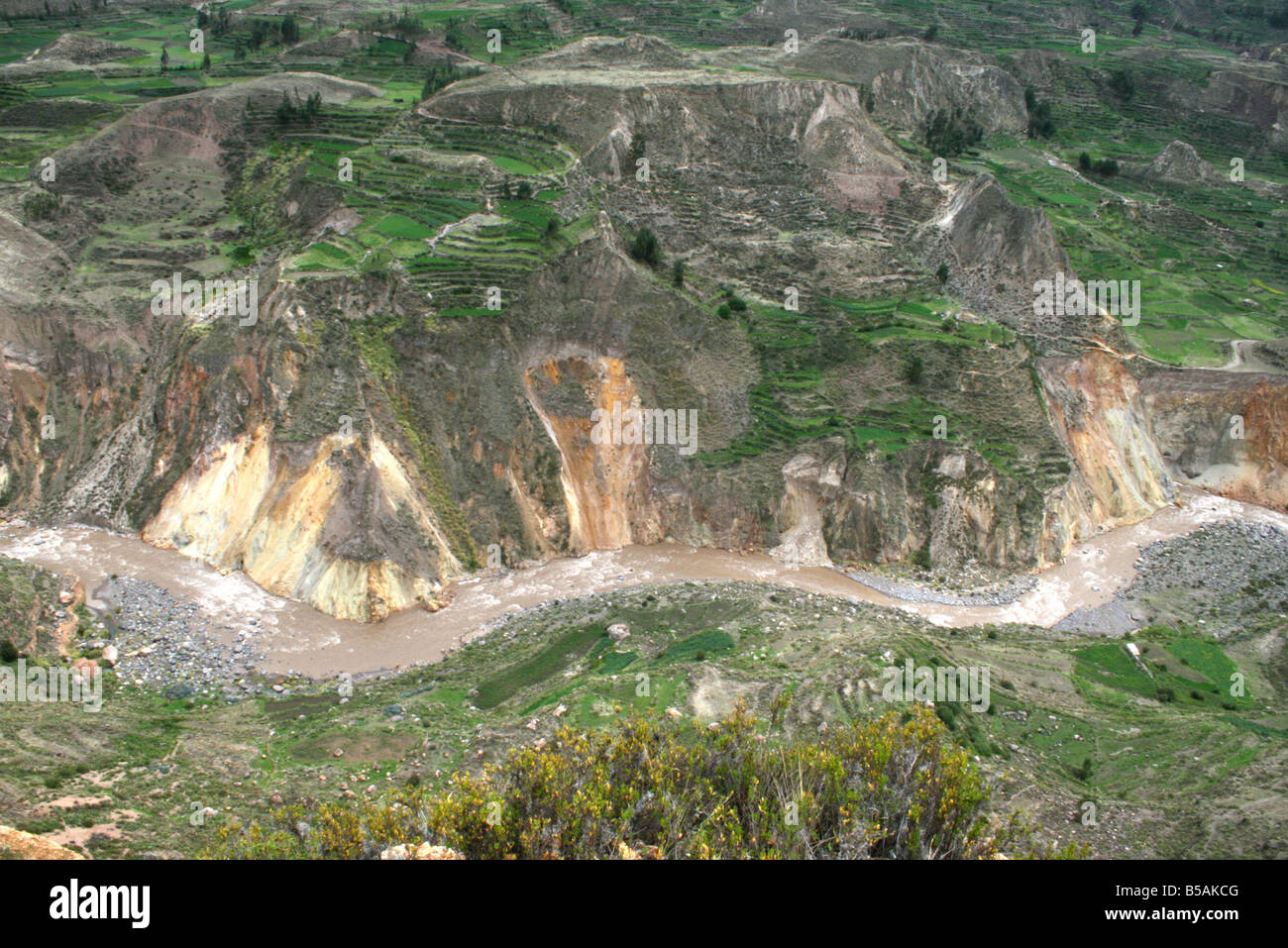 Colka canyon in the Perù mountains Incas terrace view Stock Photo