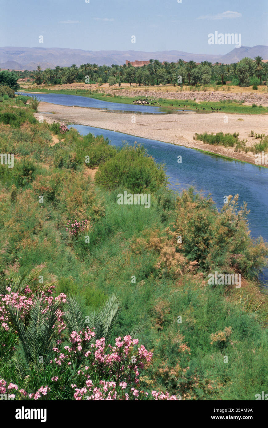 River Draa Draa Valley Morocco Africa R H Productions Stock Photo