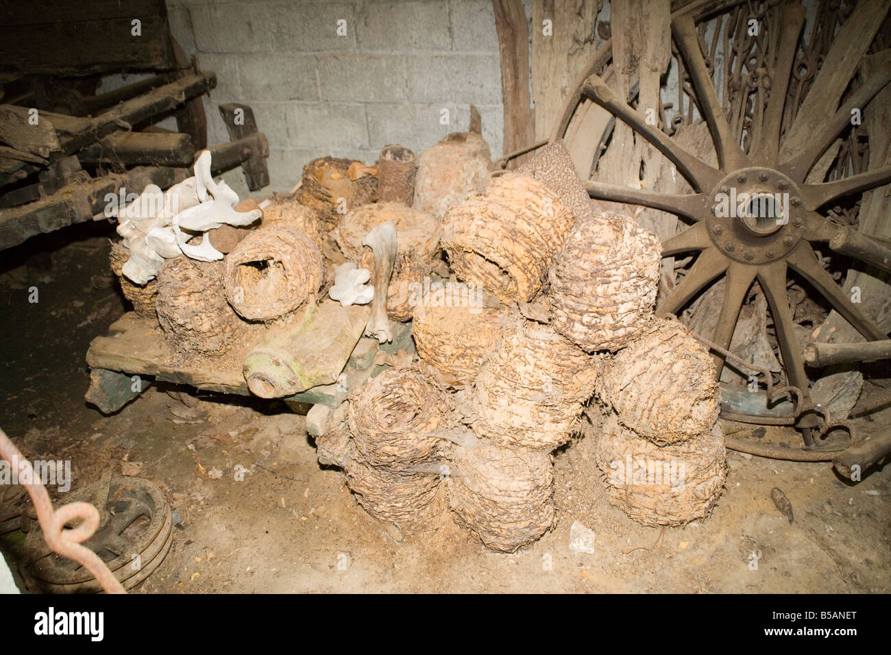 First World War Museum at Sanctuary Wood, Hill 62 near Ypres, Flanders, Belgium Stock Photo