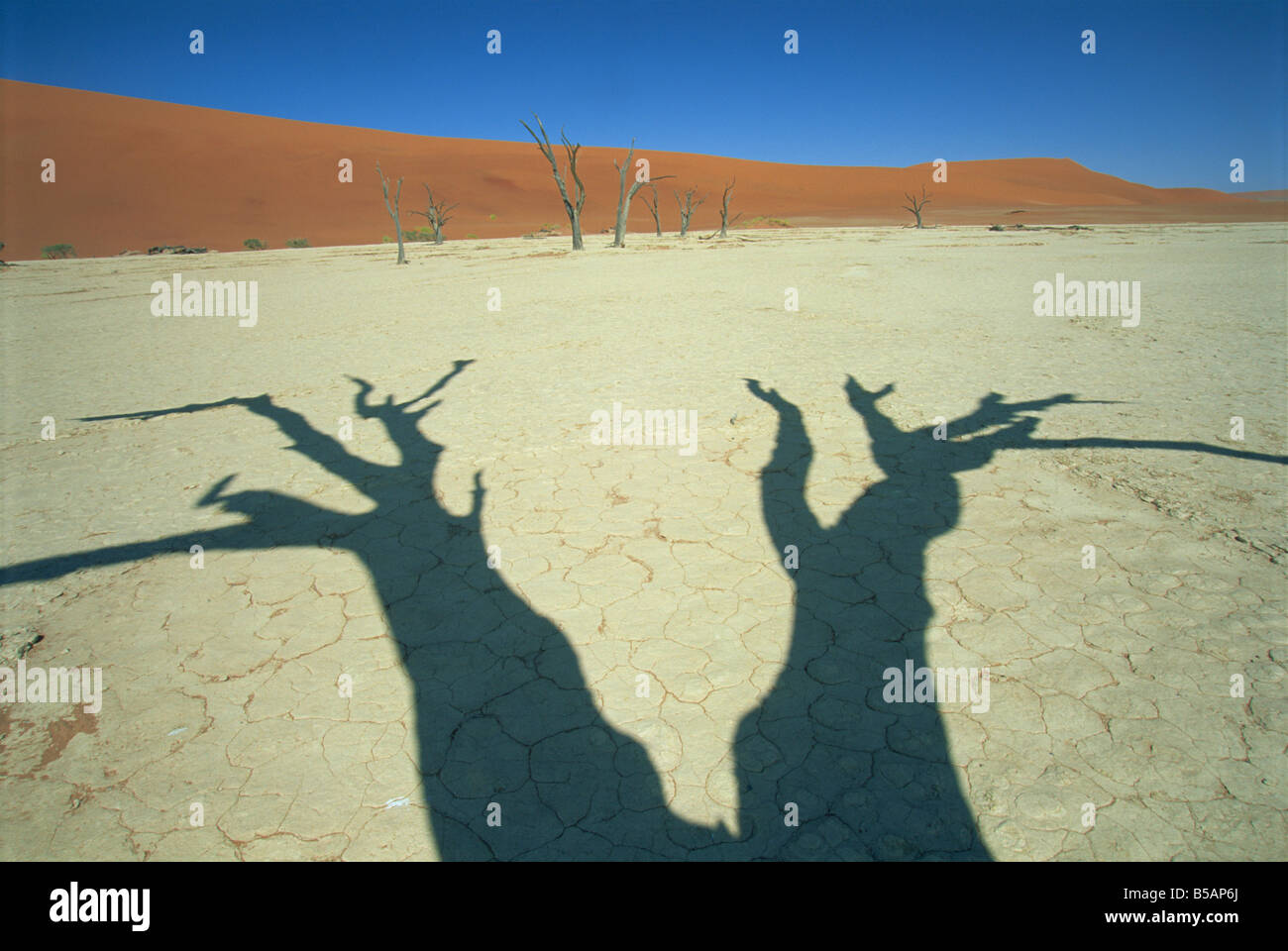 Shadows of dead trees Dead Vlei Namib Naukluft Park Namibia Africa Stock Photo