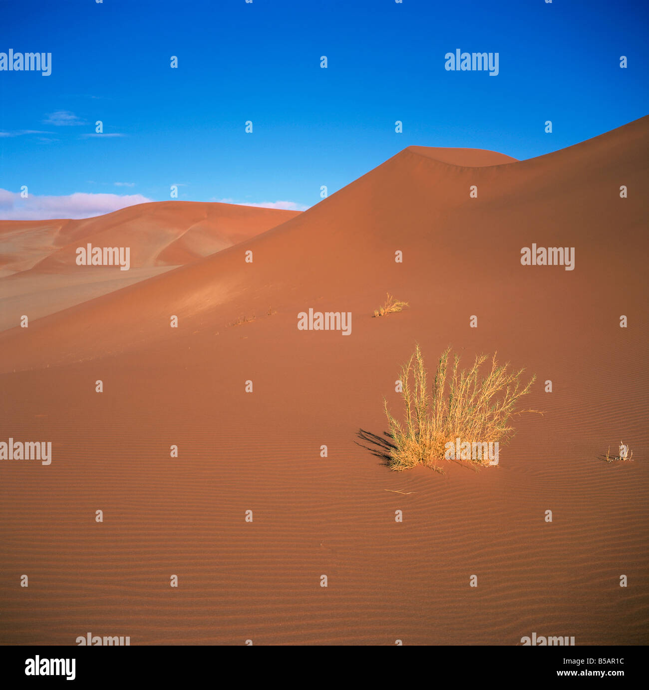 Sossusvlei Sand Dunes in Naukluft Park Namibia Africa G Renner Stock ...