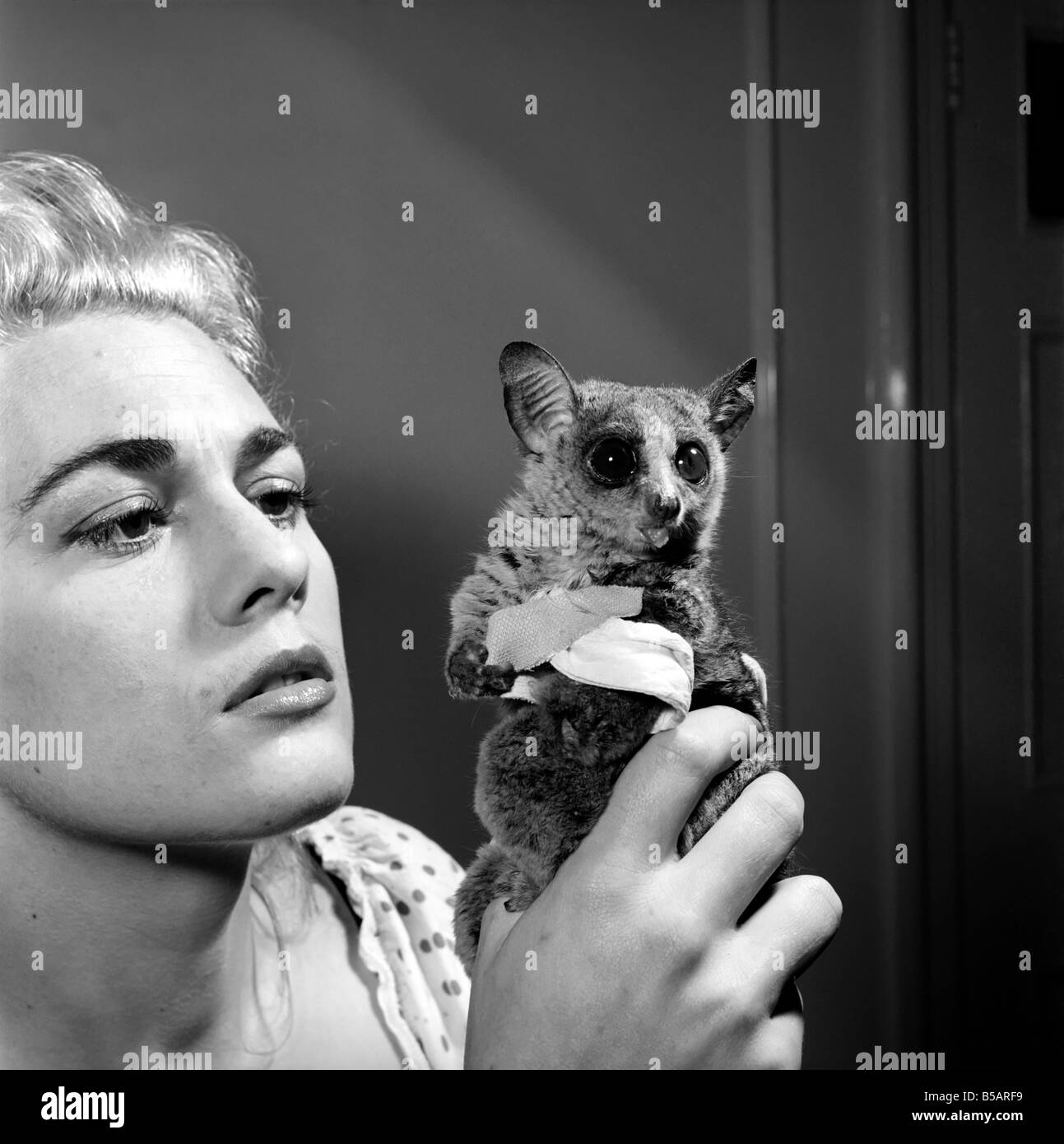 Watch Dorinda Stevens video Watch Dorinda Stevens video