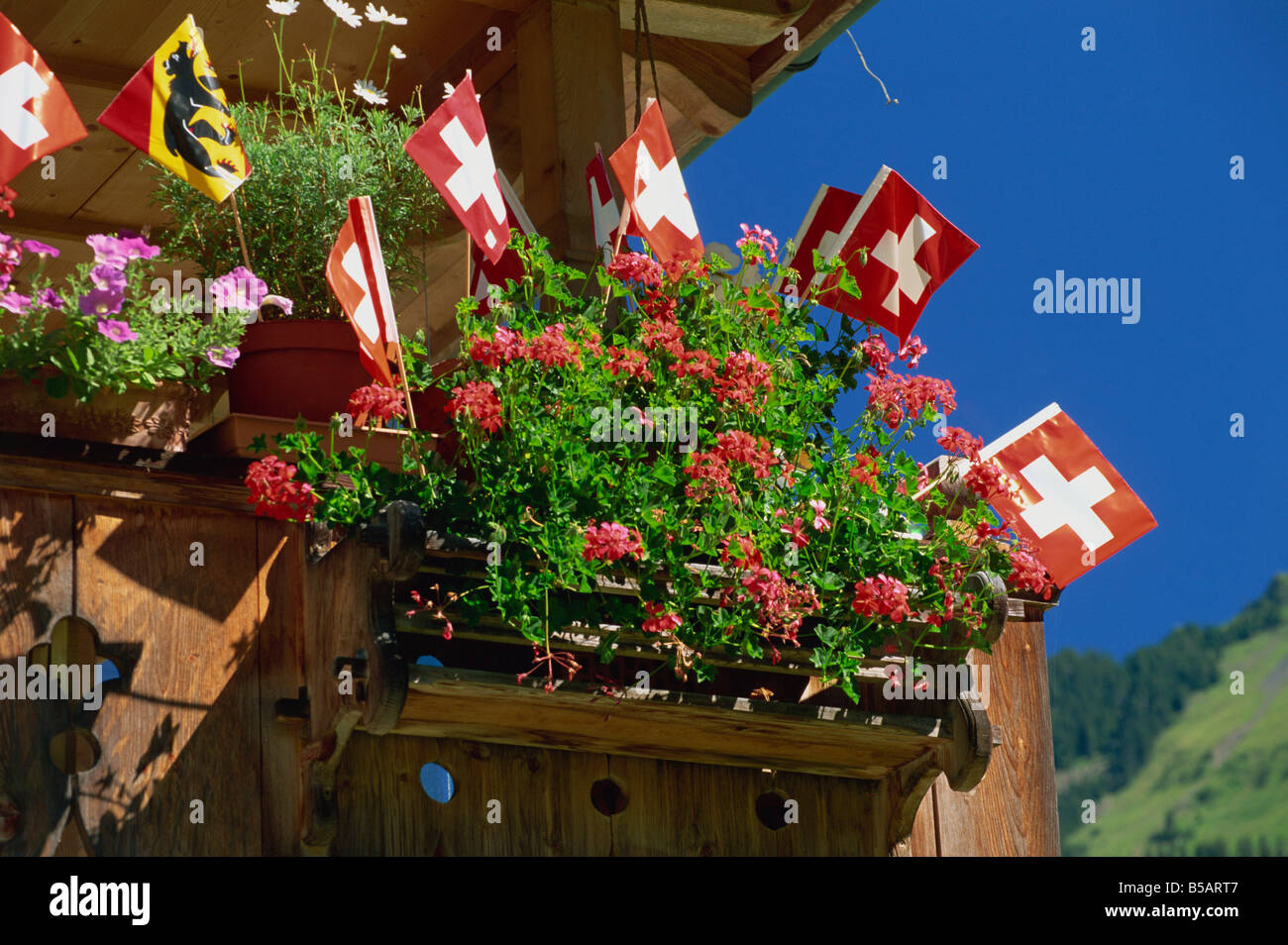 Display of flags to mark Swiss National Day, Lauterbrunnen, Bern, Swizerland, Europe Stock Photo